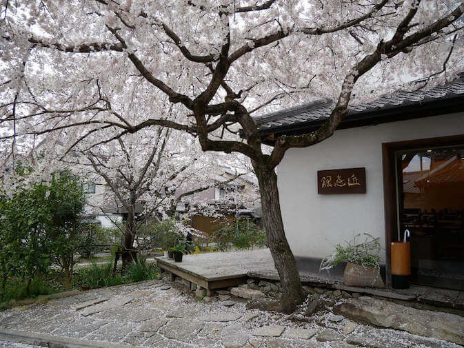 Benvenuti A Kyoto Alla Scoperta Di Questa Bellissima Citta